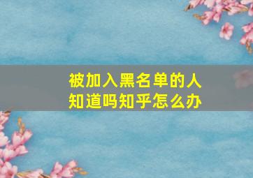 被加入黑名单的人知道吗知乎怎么办