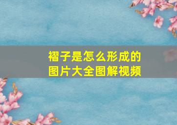 褶子是怎么形成的图片大全图解视频