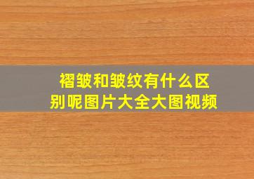 褶皱和皱纹有什么区别呢图片大全大图视频