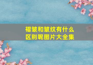 褶皱和皱纹有什么区别呢图片大全集