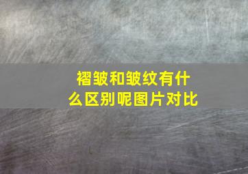 褶皱和皱纹有什么区别呢图片对比