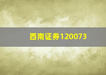 西南证券120073