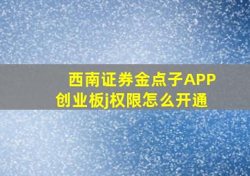 西南证券金点子APP创业板j权限怎么开通