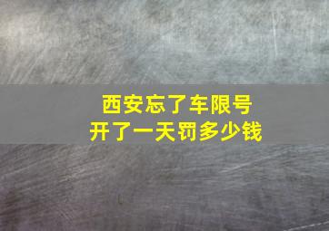 西安忘了车限号开了一天罚多少钱