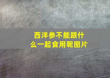 西洋参不能跟什么一起食用呢图片