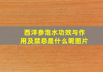 西洋参泡水功效与作用及禁忌是什么呢图片