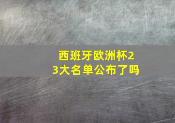 西班牙欧洲杯23大名单公布了吗