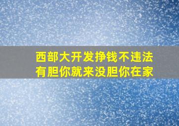 西部大开发挣钱不违法有胆你就来没胆你在家