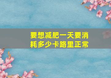 要想减肥一天要消耗多少卡路里正常