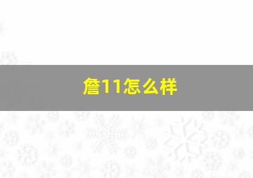 詹11怎么样