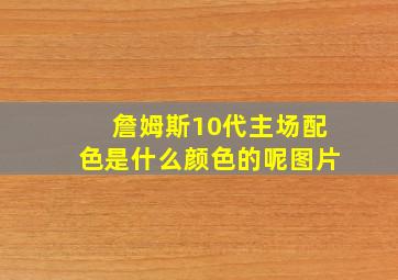 詹姆斯10代主场配色是什么颜色的呢图片