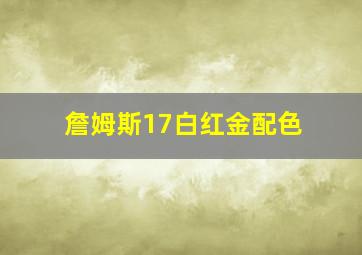 詹姆斯17白红金配色