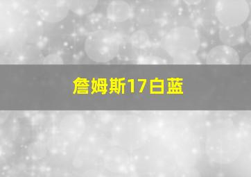 詹姆斯17白蓝