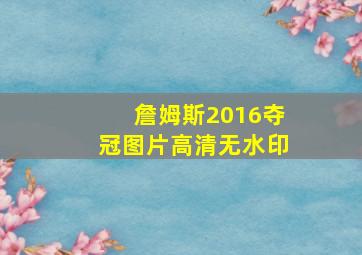 詹姆斯2016夺冠图片高清无水印