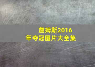 詹姆斯2016年夺冠图片大全集