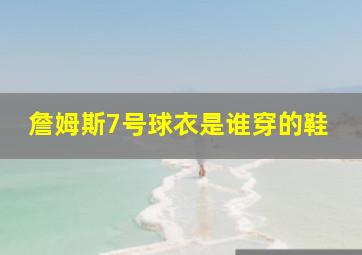 詹姆斯7号球衣是谁穿的鞋