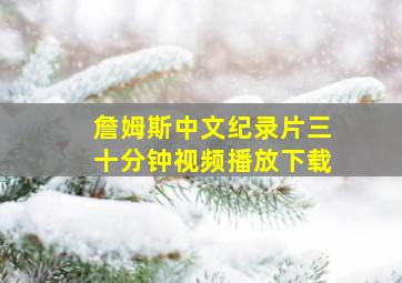 詹姆斯中文纪录片三十分钟视频播放下载