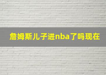 詹姆斯儿子进nba了吗现在