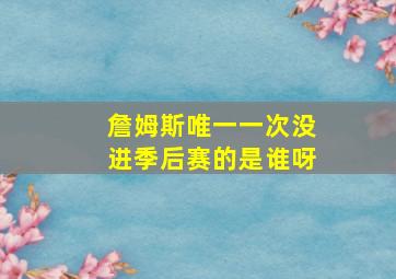 詹姆斯唯一一次没进季后赛的是谁呀