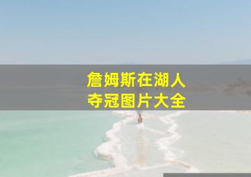 詹姆斯在湖人夺冠图片大全