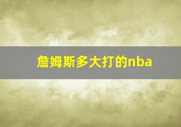 詹姆斯多大打的nba