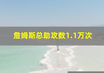 詹姆斯总助攻数1.1万次