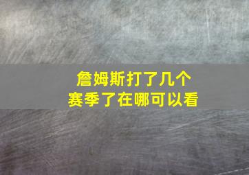 詹姆斯打了几个赛季了在哪可以看