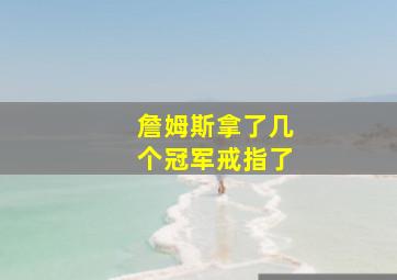 詹姆斯拿了几个冠军戒指了