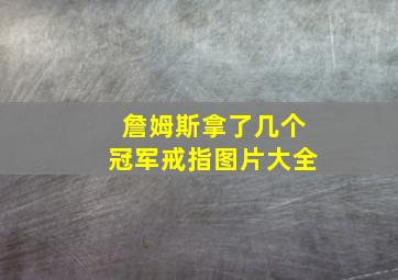 詹姆斯拿了几个冠军戒指图片大全