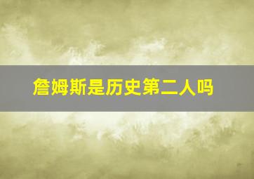 詹姆斯是历史第二人吗