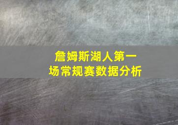 詹姆斯湖人第一场常规赛数据分析