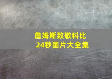 詹姆斯致敬科比24秒图片大全集