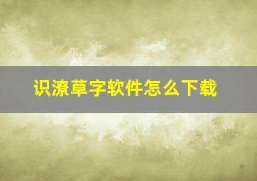 识潦草字软件怎么下载