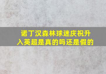 诺丁汉森林球迷庆祝升入英超是真的吗还是假的