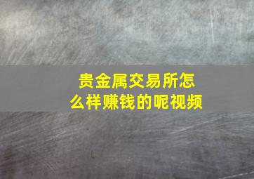 贵金属交易所怎么样赚钱的呢视频