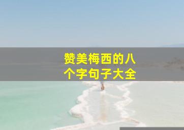 赞美梅西的八个字句子大全