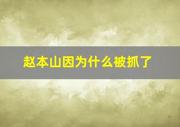 赵本山因为什么被抓了