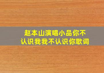 赵本山演唱小品你不认识我我不认识你歌词