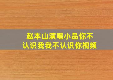 赵本山演唱小品你不认识我我不认识你视频