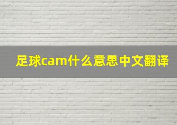 足球cam什么意思中文翻译