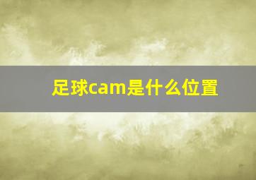 足球cam是什么位置