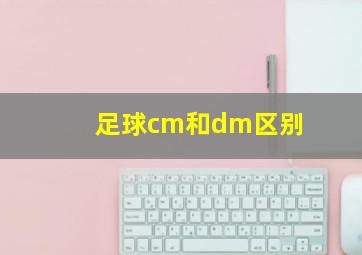 足球cm和dm区别