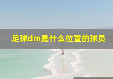 足球dm是什么位置的球员