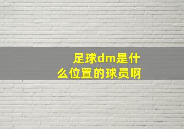 足球dm是什么位置的球员啊