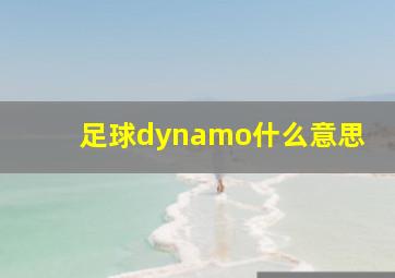 足球dynamo什么意思