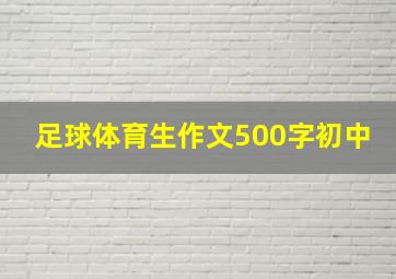 足球体育生作文500字初中