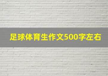 足球体育生作文500字左右