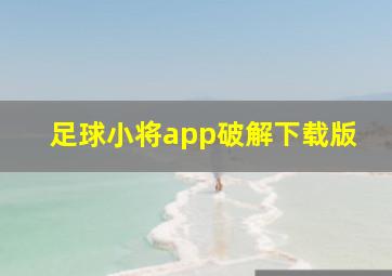 足球小将app破解下载版