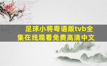 足球小将粤语版tvb全集在线观看免费高清中文