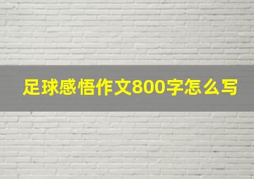 足球感悟作文800字怎么写